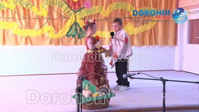 Gradinita 8 Dorohoi_13