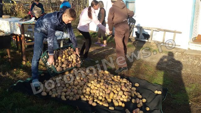 Saptamana legumelor si fructelor Liceul Tehnologic Al Vlahuta Sendriceni 05