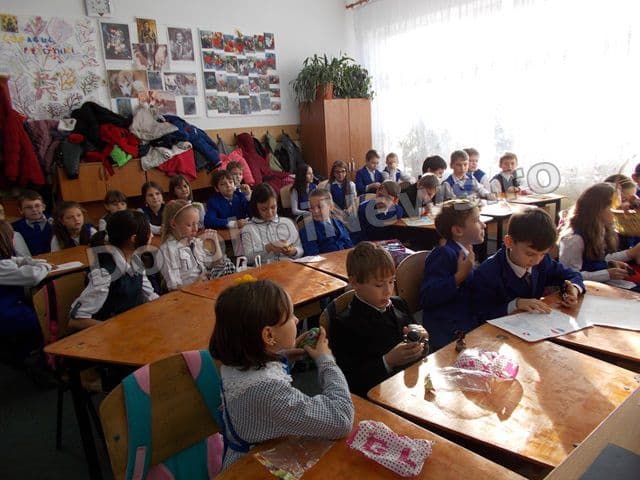 suntem egali dar diferiti 07