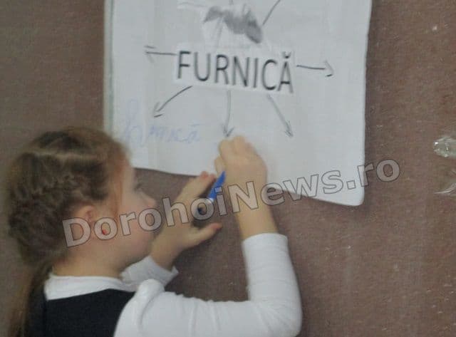 Activitate Chisinau 21