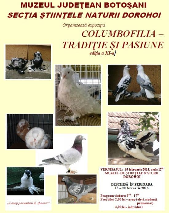 Muzeul de Stiintele Naturii Dorohoi
