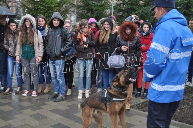 Manifestari Jandarmi la Dorohoi_01