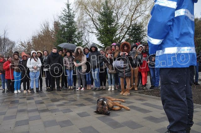 Manifestari Jandarmi la Dorohoi_03