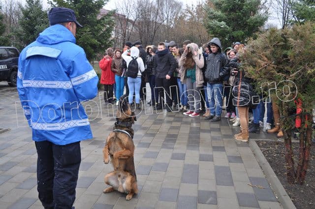Manifestari Jandarmi la Dorohoi_04