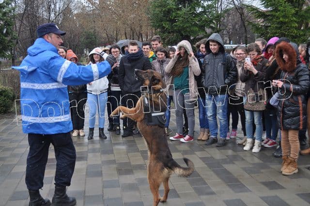 Manifestari Jandarmi la Dorohoi_05