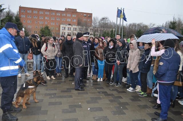 Manifestari Jandarmi la Dorohoi_10