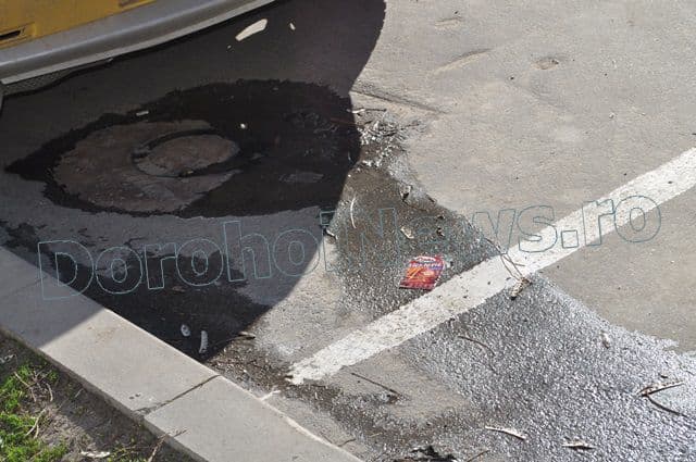 Dejectii in cartierul Plevna din Dorohoi_01