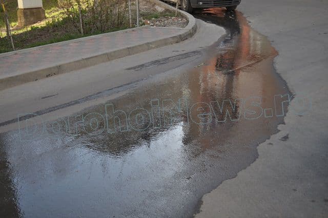 Dejectii in cartierul Plevna din Dorohoi_06