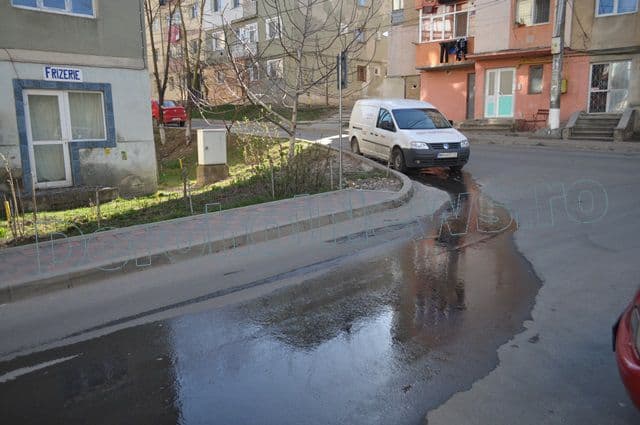 Dejectii in cartierul Plevna din Dorohoi_07
