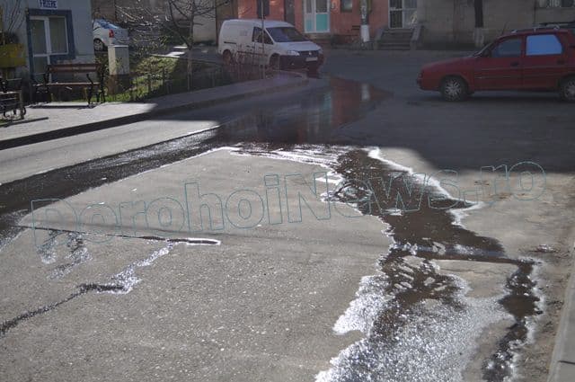 Dejectii in cartierul Plevna din Dorohoi_09