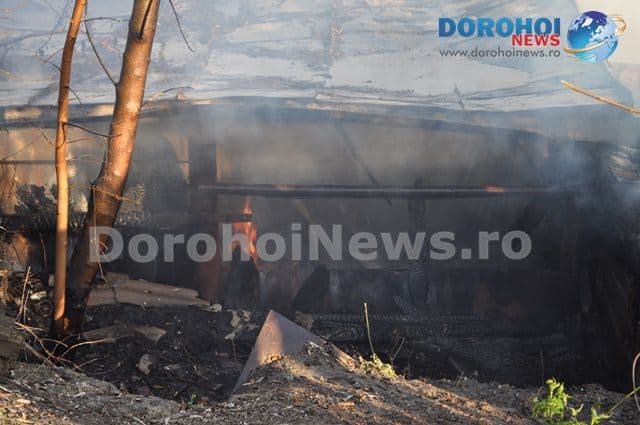 Incendiu Olinescu Dorohoi_08