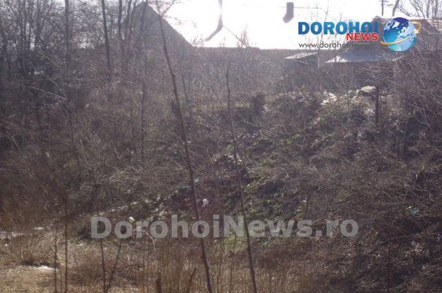 Dorohoi - decolmatari jijia_01