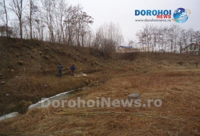 Dorohoi - decolmatari jijia_03