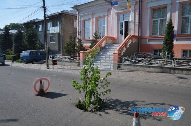 Cratere aparute in asfalt in Dorohoi_07