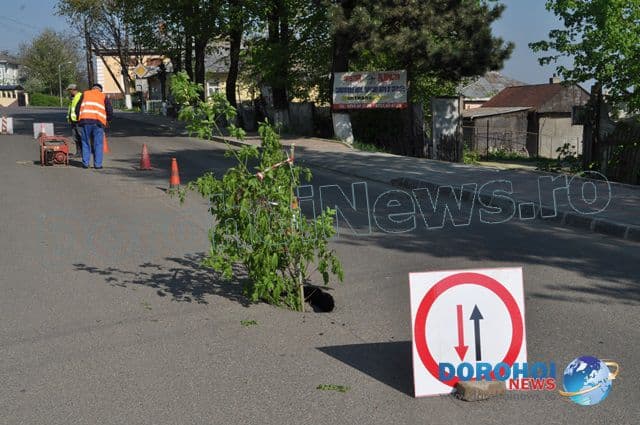 Cratere aparute in asfalt in Dorohoi_09