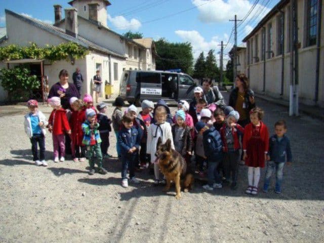 Politia de Frontiera (8)