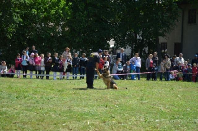Politia de Frontiera (14)