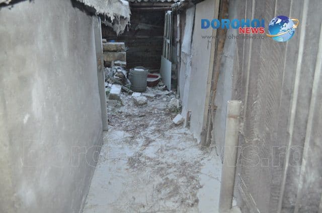 Incendiu Aleea Pinului_03