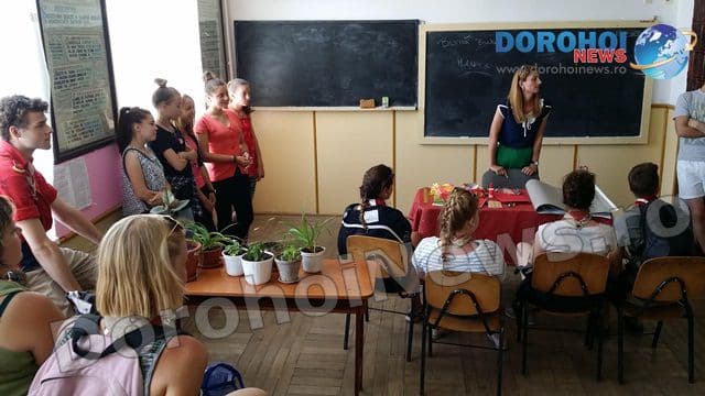 Vlasinesti proiect international05