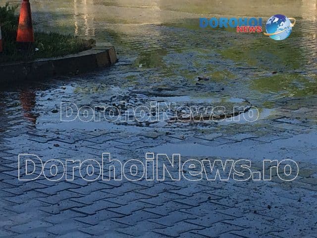 Dejectii pe Bulevardul Victoriei din Dorohoi_06