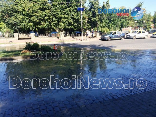 Dejectii pe Bulevardul Victoriei din Dorohoi_02
