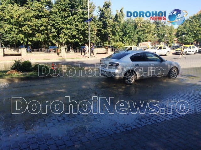 Dejectii pe Bulevardul Victoriei din Dorohoi_03