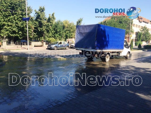 Dejectii pe Bulevardul Victoriei din Dorohoi_04