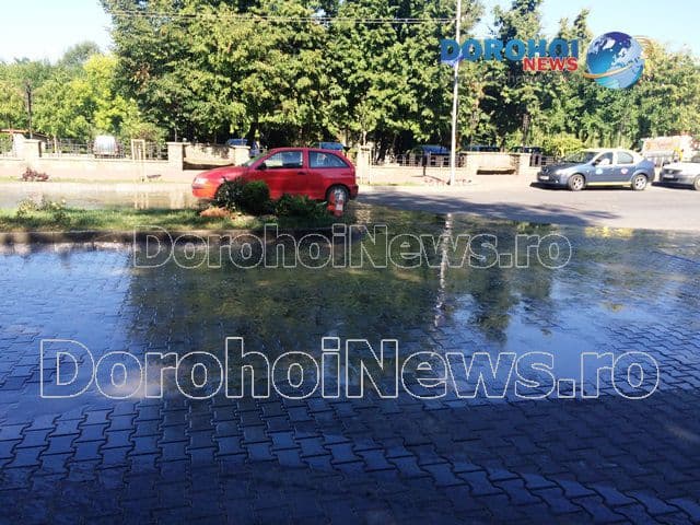 Dejectii pe Bulevardul Victoriei din Dorohoi_07