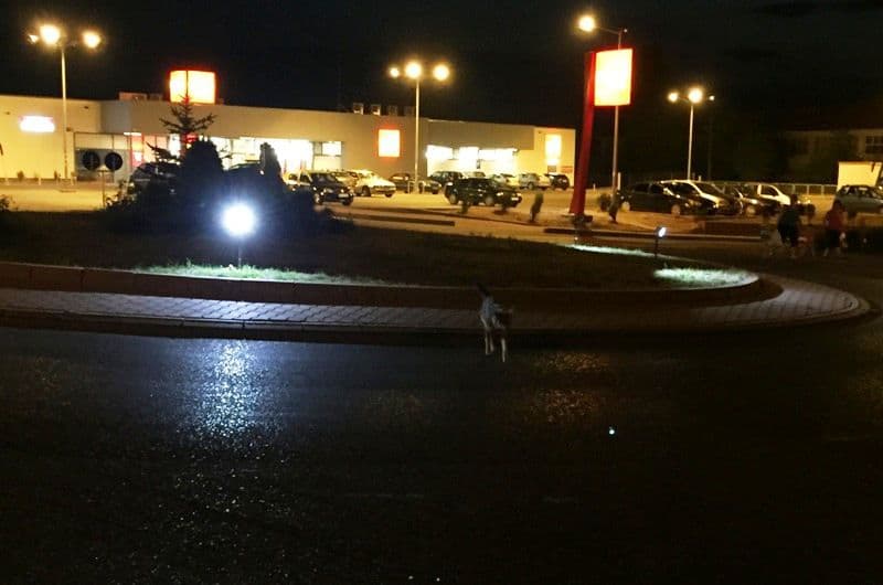 Lumini ciudate - sens giratoriu Dorohoi (3)