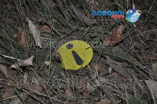 Accident grav spre Havarna_12