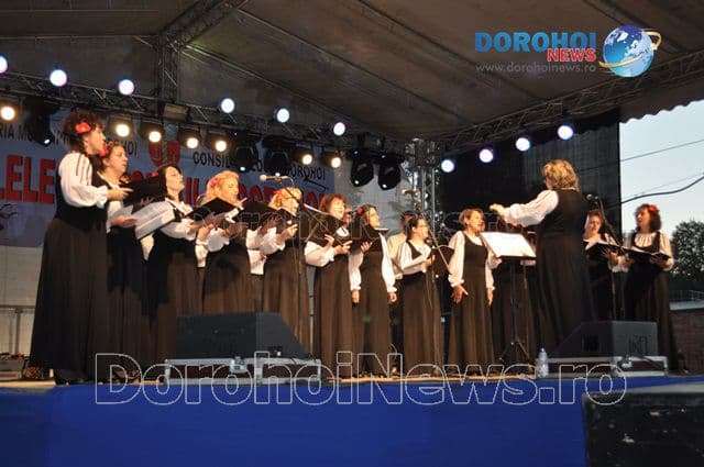 ZMD 2015_Talente dorohoiene_10