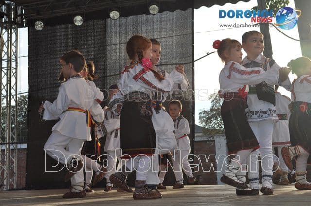 ZMD 2015_Talente dorohoiene_04
