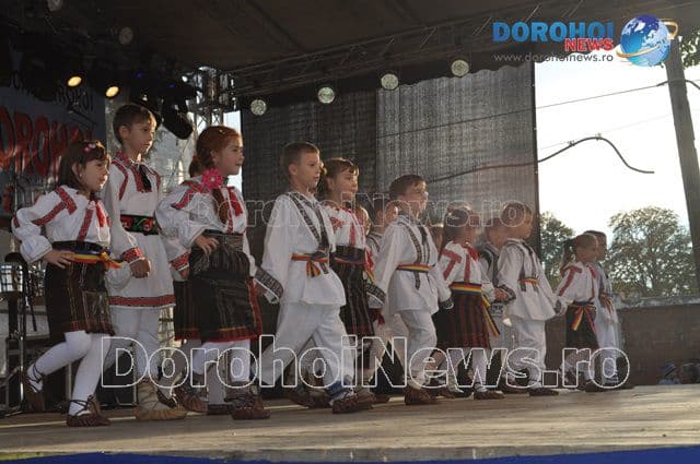 ZMD 2015_Talente dorohoiene_05
