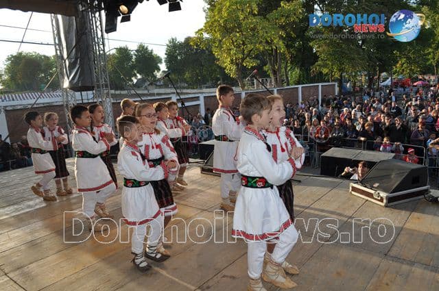 ZMD 2015_Talente dorohoiene_11