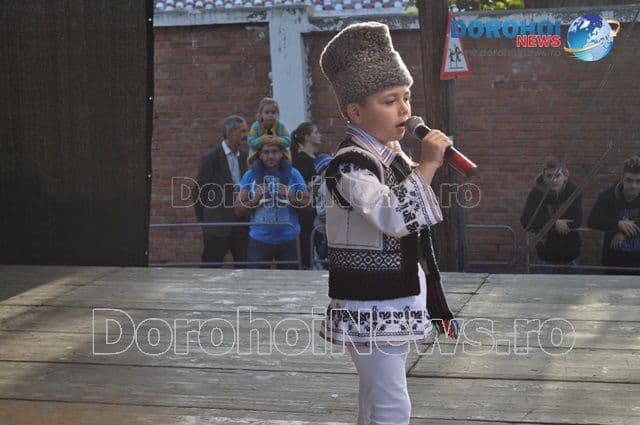 ZMD 2015_Talente dorohoiene_13