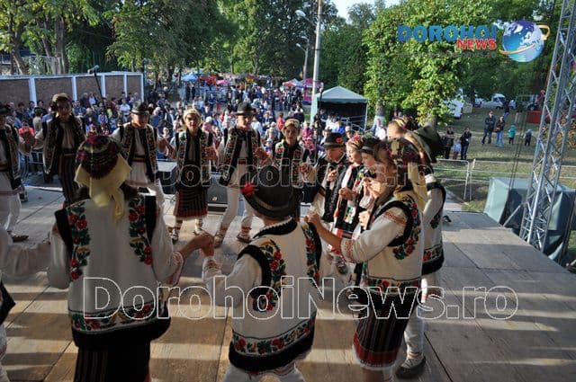 ZMD 2015_Ansambluri_13