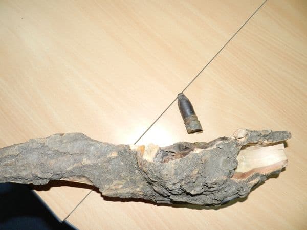 pericol