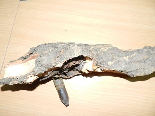 pericol1
