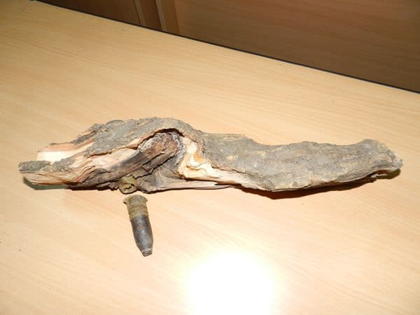 pericol3
