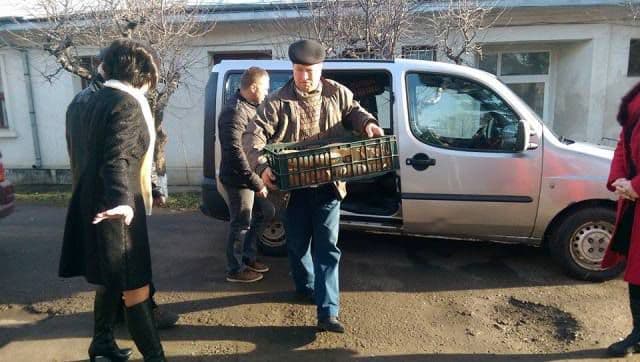 ajutoare caminul Trusesti (7)