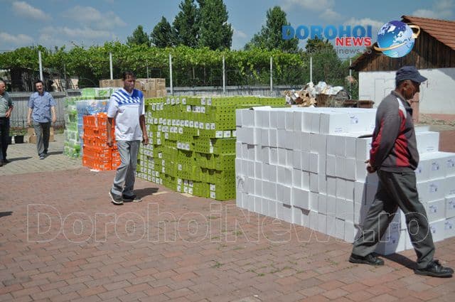 Crucea Rosie din Germania_14