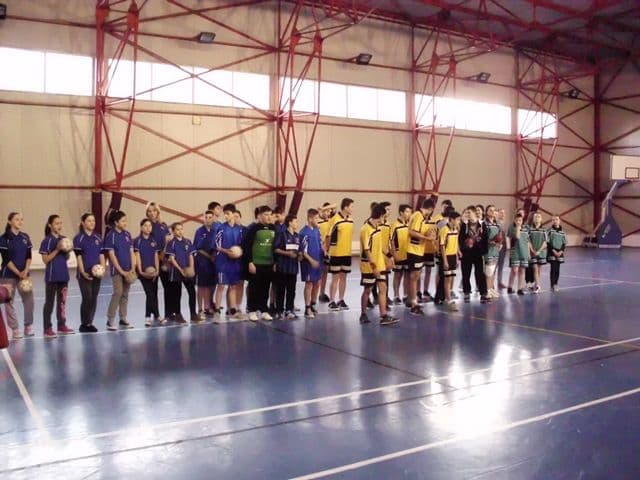 ONSS Handbal Dorohoi 2015_7