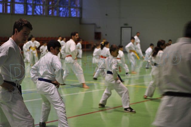 Antrenament Karate la Dorohoi_01