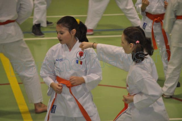 Antrenament Karate la Dorohoi_13