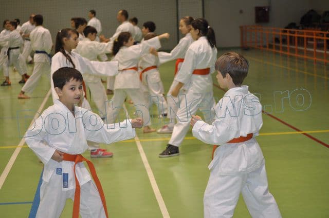 Antrenament Karate la Dorohoi_15