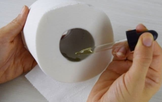 Ingrediente naturale care te ajută să împrospătezi aerul din baie și să-l menții pe o perioadă lungă