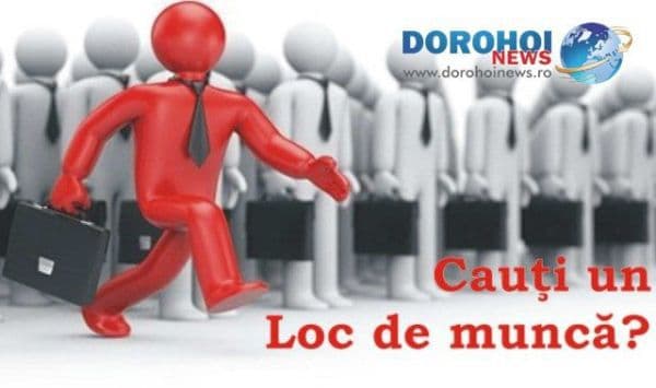 Peste 350 de locuri de muncă vacante în această săptămână, în judeţul Botoşani