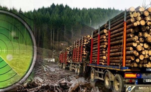 Se caută 600 de persoane pentru job la stat plătit cu 5.000 lei. Ce test trebuie să treacă viitorii angajaţi