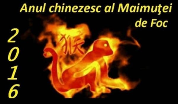 Horoscop chinezesc 2016. Anul Maimuţei de Foc. Citeşte previziunile pentru zodia ta