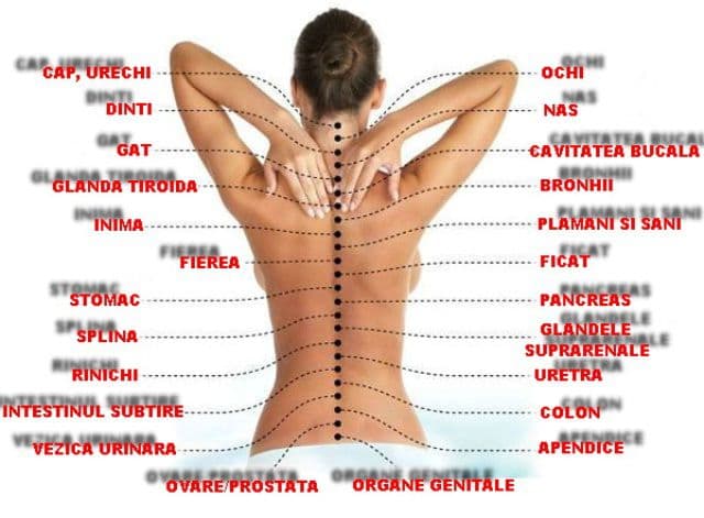 Problemele la coloană afectează și alte organe